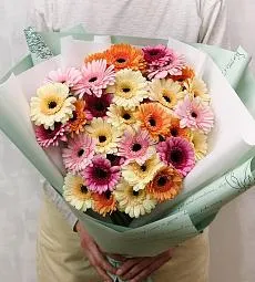 Букет из 35 гербер микс