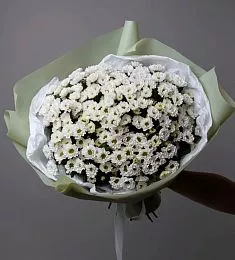 Букет из 11 белых кустовых хризантем сантини 