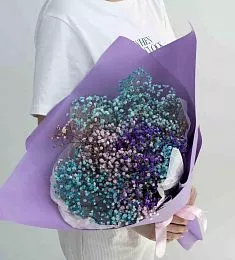 Букет из 5 разноцветных гипсофил